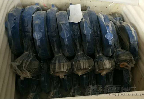 般德渦輪蝶閥、止回閥、過濾器等出口以色列