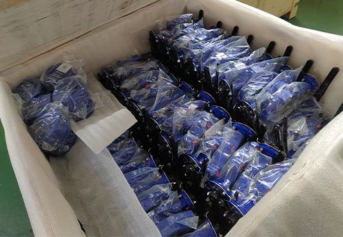 般德蝶閥、蝶式止回閥等產品出口澳大利亞